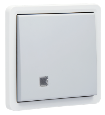 Niko Hydro twee polige schakelaar schroefklemmen grijs