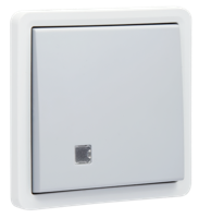 Niko Hydro twee polige schakelaar schroefklemmen grijs - thumbnail