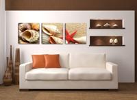 Schilderij - Schelpen, Beige, 150X50, 3luik - thumbnail