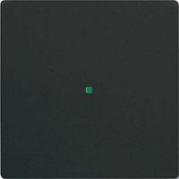 Busch-Jaeger 2CKA006220A0498 Afdekking 1-voudig free@home Diepzwart (RAL 9005), Zwart 1 stuk(s) - thumbnail