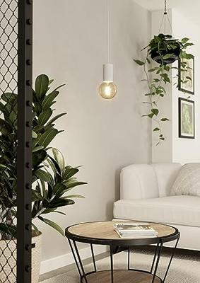 Eglo Witte pendelPozueta 1 E27 - 900798