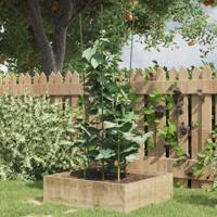 VidaXL Plantensteunen 5 st met 4 ringen 90 cm staal groen - thumbnail