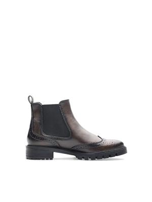 Ara 1229514 - alle Ara 1229514 - alle