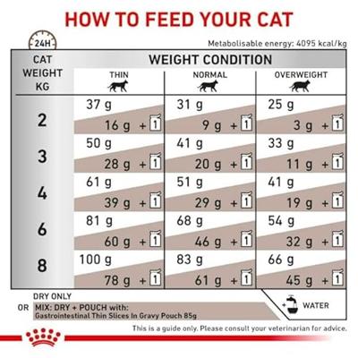 Royal Canin gastrointestinal kattenvoer 4kg zak - thumbnail
