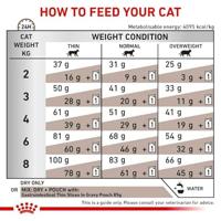 Royal Canin gastrointestinal kattenvoer 4kg zak - thumbnail