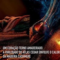 Christian Dior - Dior Homme Eau de toilette Spray 50 ml Heren - thumbnail