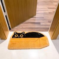 Kat in doos deurmat - thumbnail