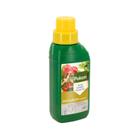 Pokon anthurium voeding 250ml - thumbnail