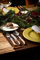 Laguiole Style de Vie Botermessen Olijfhout 4 stuks - thumbnail