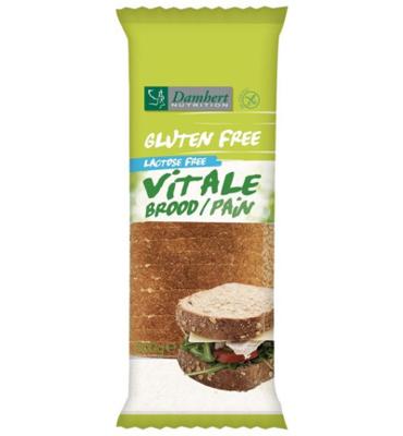 Damhert Vitale brood glutenvrij 300 Gram