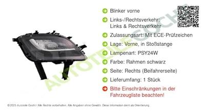 Knipperlicht rechts 180651012