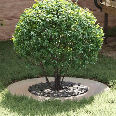 VidaXL Geschikt voor platte boomring zilver ø40 / 70 cm roestvrij staal