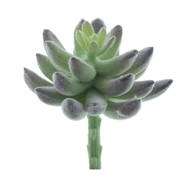 Succulent pick Guanita flocked green 13 cm kunstbloem Erutan Avon - Erutan avon