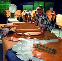 Pedag 110 Leather - alle - thumbnail