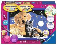 Ravensburger Schilderen op Nummer schitterende sterrenhemel - thumbnail