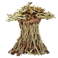 Bonsai Mushroom - S - thumbnail