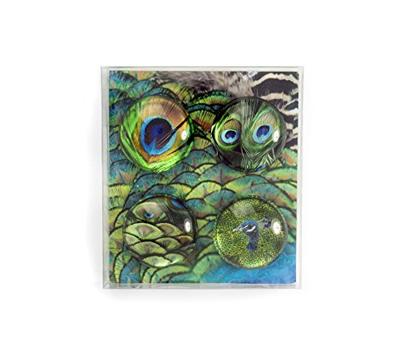 Trendform Magnet Eye - Pauw - set van 4 verschillende