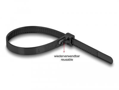 Delock 19066 Kabelbinder Zwart Hittegestabiliseerd, Herbruikbaar 100 stuk(s)