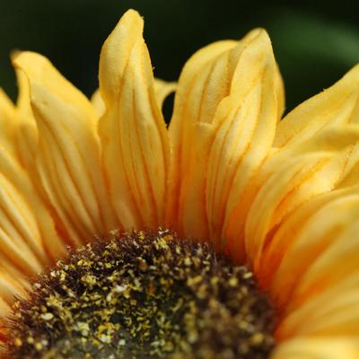 Zonnebloemtak Kunsttak N 63cm