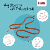 Trainingsband Company of Animals BURNT Oranje - thumbnail