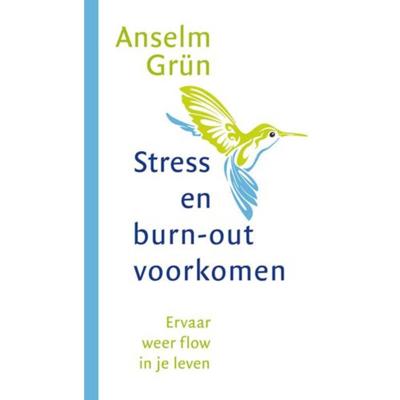 Stress en burn-out voorkomen (Paperback)