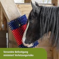Halfronde koeborstel veeborstel blauwrood xl - thumbnail