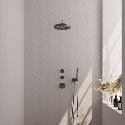 Brauer Stripe thermostatische inbouw regendouche SET 02 met 25 cm douchekop en gebogen muurarm en staaf handdouche en doucheslang en wandaansluitbocht gunmetal geborsteld PVD