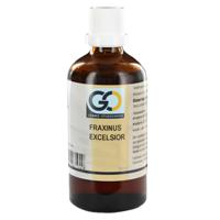 GO Fraxinus excelsior bio 100 Milliliter - thumbnail