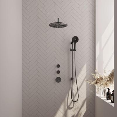 Regendoucheset Inbouw Brauer Gunmetal Edition Thermostatisch 30 cm met Gebogen Wandarm, Glijstang en Handdouche 3-Standen Geborsteld Gunmetal Brauer Regendoucheset Inbouw Brauer Gunmetal Edition Thermostatisch 30 cm met Gebogen Wandarm, Glijstang en Handdouche 3-Standen Geborsteld Gunmetal Brauer