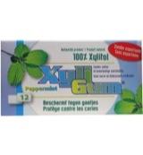 Xyligum Kauwgom Pepermunt - thumbnail