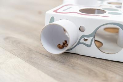 TRIXIE CAT ACTIVITY PAWS'N'TREATS BOX KARTON - thumbnail