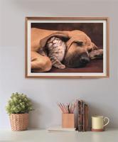 Clementoni legpuzzel hond en kat, 500st. - thumbnail