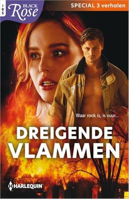 Dreigende vlammen - Cassie Miles, Danica Winters, Dani Sinclair - ebook