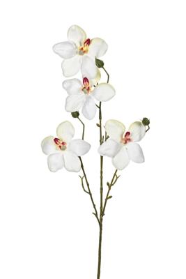 Orchidee l55cm wit kunstbloem Louis Maes - Louis maes