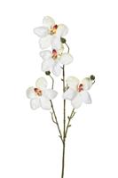 Orchidee l55cm wit kunstbloem Louis Maes - Louis maes - thumbnail