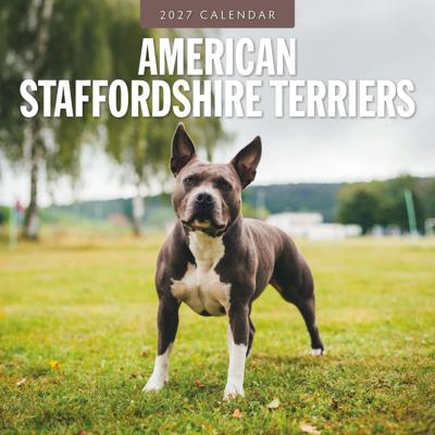 American Staffordshire Terrier Kalender 2027 American Staffordshire Terrier Kalender 2027