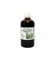 Cruydhof Berberis vulgaris / zuurbes wortelschors tinctuur 100 Milliliter - thumbnail