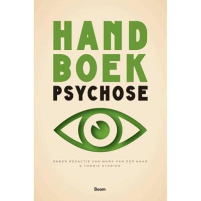 Handboek psychose (Paperback)