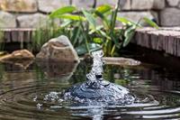 Vijverfilter drijvend plus 2500 Velda - Velda - thumbnail