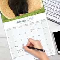 Schipperke Kalender 2026 - thumbnail
