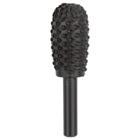 Bosch Accessoires Houtrasp | Concaaf | 15 x 55 mm - 2609255297 - thumbnail