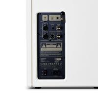 Positive Grid Spark Cab Pearl - thumbnail