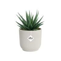 Vibes Fold Rond Mini dia 7 cm bloempot zijdewit elho - Elho - thumbnail