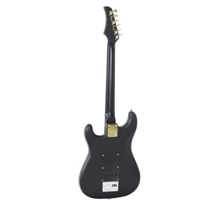 VidaXL Gitaar voor beginners elektrisch met tas 4/4 39" zwart en goud