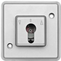 Merten 318460 Inzetstuk Pantser Zilver (mat) 1 stuk(s) - thumbnail