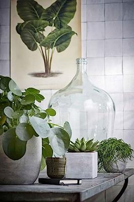 Vaas Mica Decorations Diego Transparant Kristal Ø 40 x 56 cm