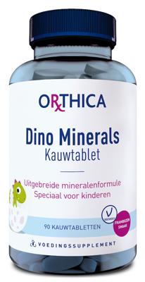Dino minerals