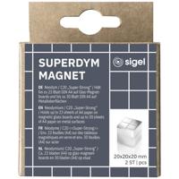 Sigel Neodymium magneet C20 Super-Strong (b x h x d) 20 x 20 x 20 mm Dobbelsteen Zilver 2 stuk(s) BA706 - thumbnail