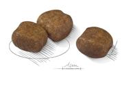 Royal Canin Dental Care Maxi hondenvoer 9kg - thumbnail