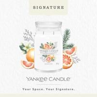 Yankee Candle white spruce & grapefruit signature large jar - thumbnail